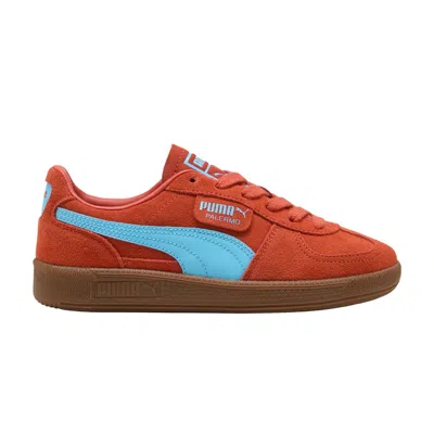 Pre-owned Puma Palermo Big Kid 'amarena Vibrant Blue' | Orange | Kid's Size 6.5