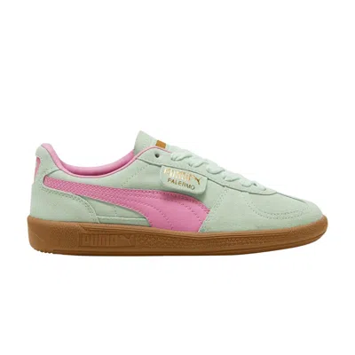 Pre-owned Puma Palermo Big Kid 'fresh Mint Fast Pink Gum' | Green | Kid's Size 5