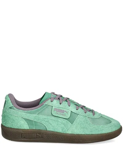 Puma Palermo Clobber Dresscode Trainers In Grün