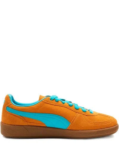 Puma Palermo "dark Cheddar Bright Aqua" Sneakers In Orange