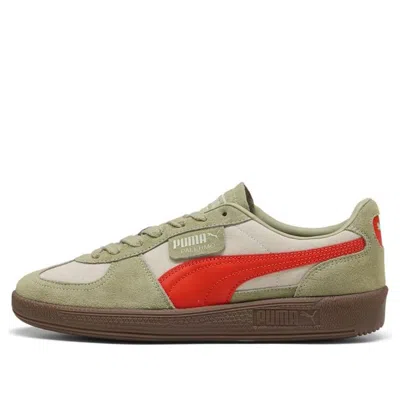 Puma Man Sneakers Sage Green Size 9 Leather In Multi