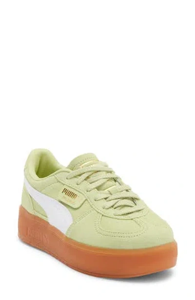 Puma Palermo Elevata Platform Sneaker In Green