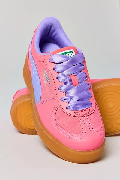 Puma Women's Palermo Elevata Platform Sneaker In Magic Rose/caramel Latte, Women's At Urban Outfitters