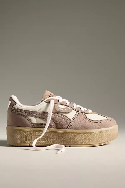 Puma Palermo Elevata Sneakers In Brown