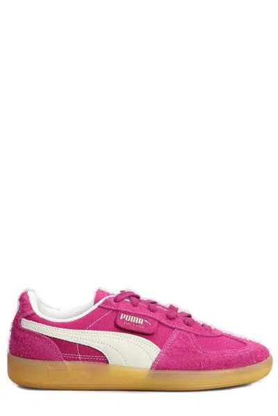 Puma Palermo Lace In Purple