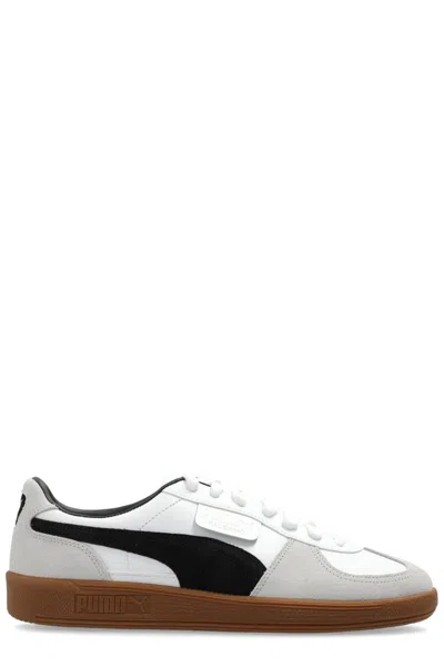 Puma Palermo Special Sneakers In White And Black-gray