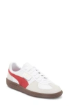 Puma Palermo Leather Sneaker In  White-vapor Gray-club Red