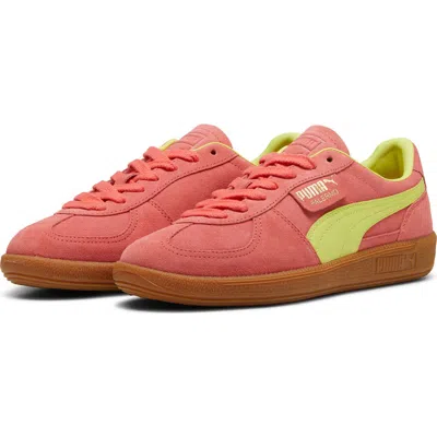 Puma Palermo Leather Sneaker In Salmon-lime Sheen-gum