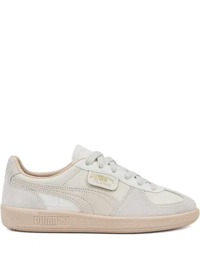 Puma Palermo Lth Suede Sneakers In Neutral