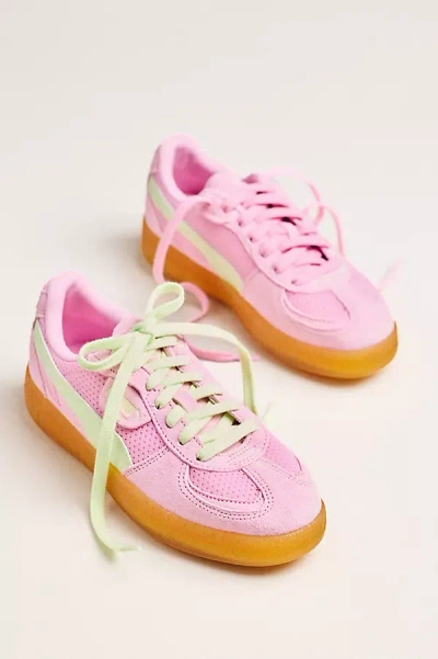 Puma Palermo Moda Terrace Sneakers In Pink