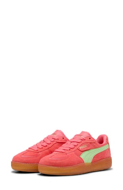 Puma Palermo Moda Xtra Gum Rubber Sneaker In Peach Frost-spring Fern