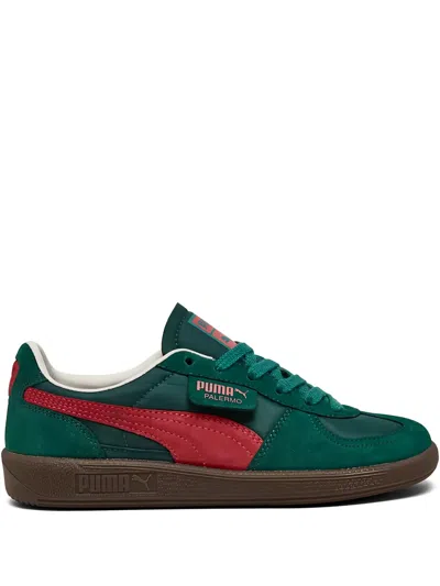 Puma Palermo Play Lace-up Sneakers In Green