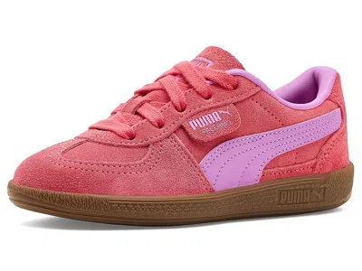 Puma Palermo (big Kid) Kid's Shoes Magic Rose/mauve Pop : 4 Big Kid M, Suede In Pink