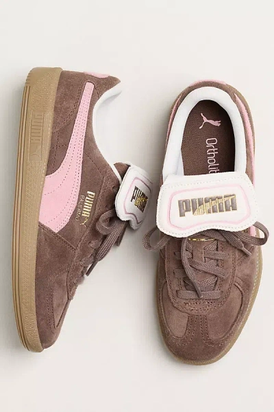 Puma Palermo Premium Sneaker In Multi