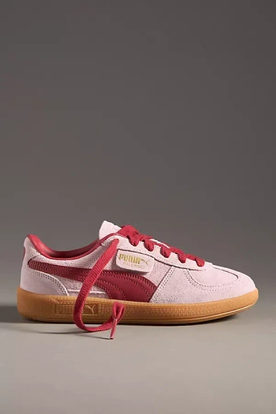 Puma Palermo Sneakers In Rose Mauve-dark Crimson