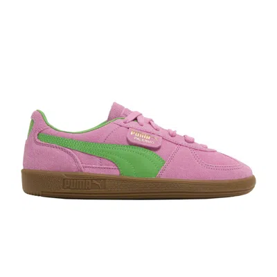 Pre-owned Puma Palermo Special Big Kid 'pink Delight Green' | Kid's Size 7