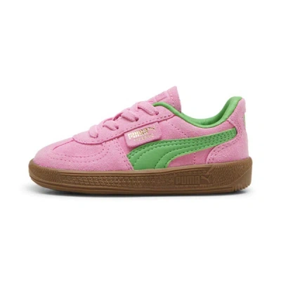 Puma Palermo Special Sneakers In Pink And Green