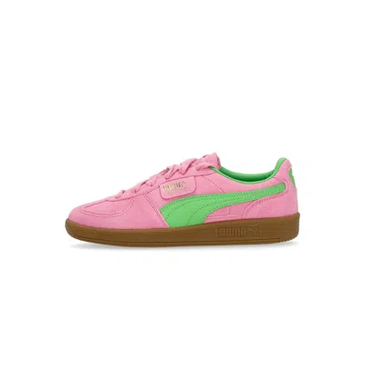 Puma Palermo Special Sneakers In Pink And Green