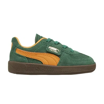 Pre-owned Puma Palermo Toddler 'vine Clementine' | Green | Infant Size 4
