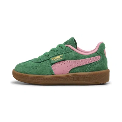 Puma Babies' Palermo Toddlers' Sneakers In Green