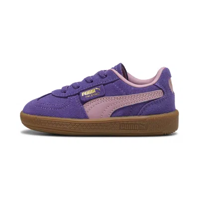 Puma Babies' Palermo Toddlers' Sneakers In Purple