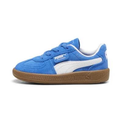 Puma Babies' Palermo Toddlers' Sneakers In Hyperlink Blue- White