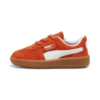 Puma Babies' Palermo Toddlers' Sneakers In Redmazing- White