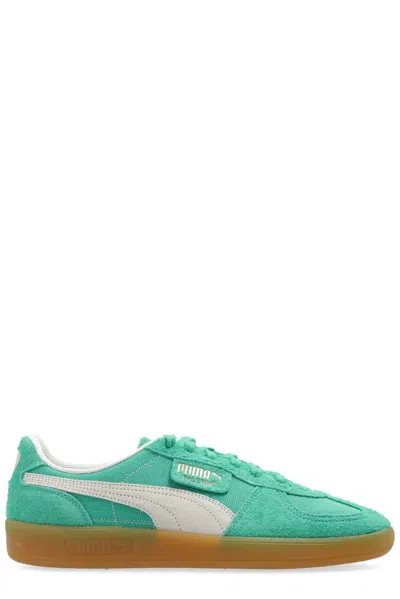 Puma Palermo Sneaker In Green