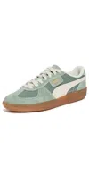 Puma Palermo Vintage Sneaker In Green