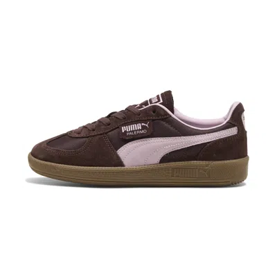 Puma Palermo Vintage Sneaker In Brown