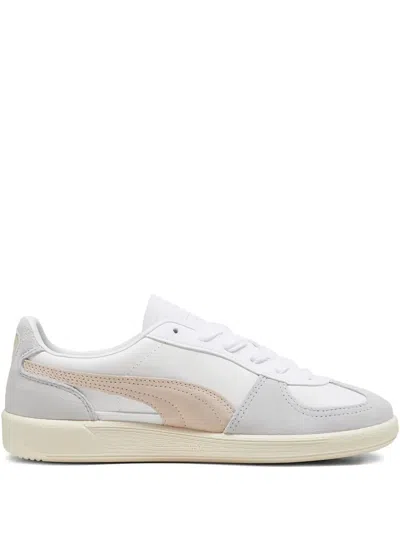 Puma Palermo "white/rosebay" Sneakers