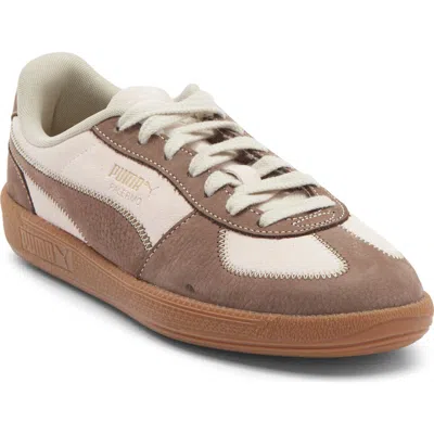 Puma Palermo 'wine Club' Sneaker In Multi