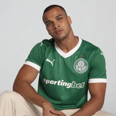 Puma Palmeiras Torcedor Home Soccer Jersey 25 Men In Green