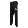 Puma Players Lounge Track Pants 'black'