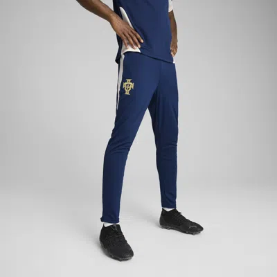 Puma Fpf Training Pants In Blue