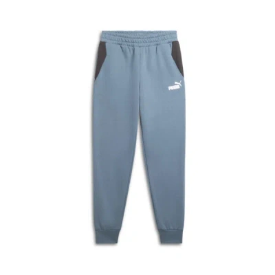 Puma Power Men's Colorblock Pants In Blue