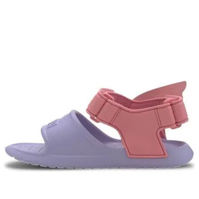Puma (ps)  Dive Cat V2 Injex Hero Sandals Purple In Multi