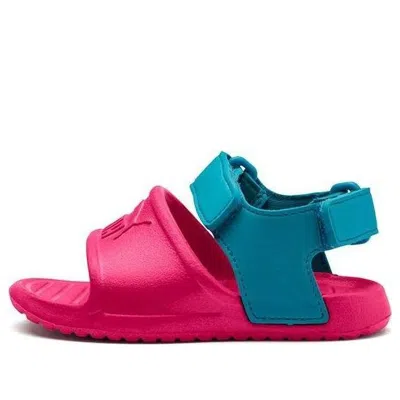 Puma (ps)  Divecat V2 Injex Sandals Red/blue