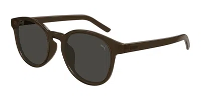 Puma Pu0500sa Asian Fit 004 Men's Sunglasses Brown Size 53 In Multi