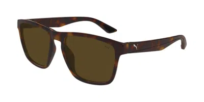Puma Pu0505s 002 Men's Sunglasses Tortoiseshell Size 57 - Free Rx Lenses  - Free Rx Lenses