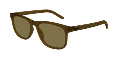 Puma Pu0515s 005 Occhiali Da Sole Marroni Per Uomo In Brown
