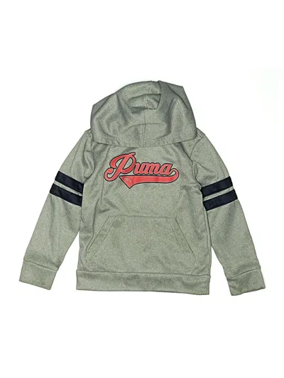 Pre-owned Puma Kids' Pullover Hoodie In Gray