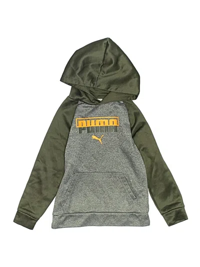 Pre-owned Puma Kids' Pullover Hoodie In Green