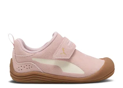 Puma Babies'   Kitten Premium Toddler 'mauve Mist' In Pink