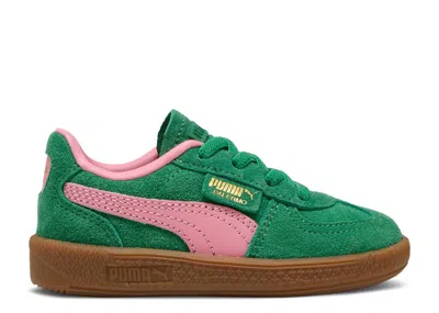 Puma Babies'   Palermo Toddler 'archive Green Pinkscape' In Multi