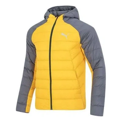 Puma Pwrwarm Packlite Hd Jacket Logo 'yellow'
