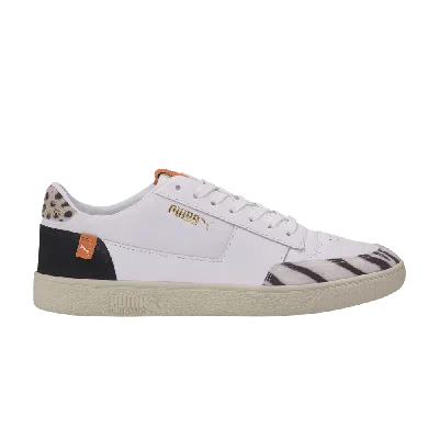 Pre-owned Puma Ralph Sampson Mc 'wildcats' In White