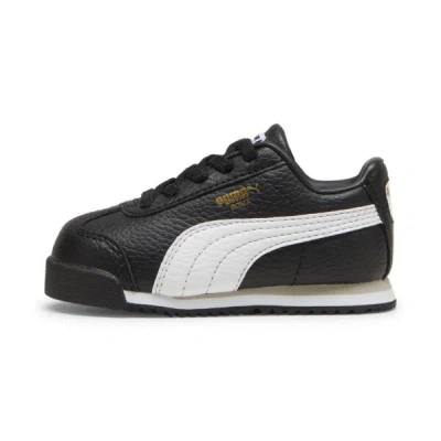 Puma Babies' Roma 24 Standard Toddlers' Sneakers In Black- White