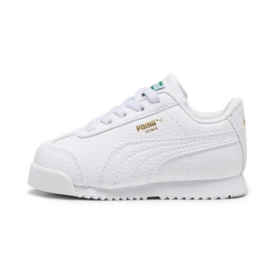 Puma Babies' Roma 24 Standard Toddlers' Sneakers In White