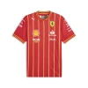 Puma Mens  Sf Team Soccer Jersey In Burnt Red